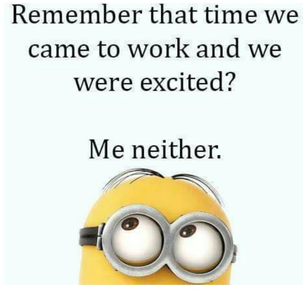 MINION MEMES