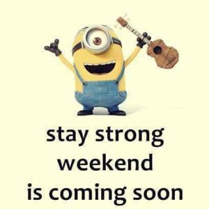 MINION MEMES - News Updates