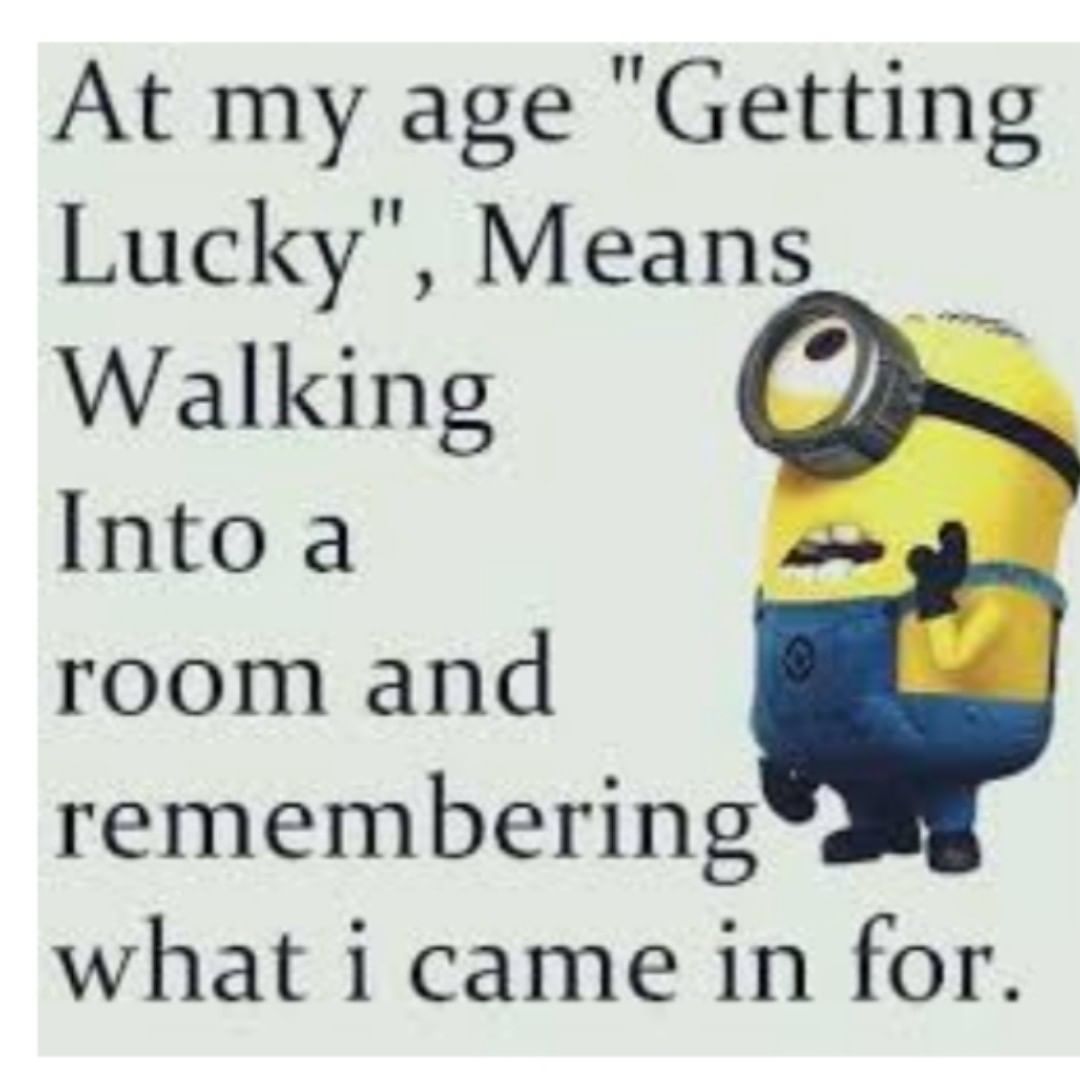 MINION MEMES - Minions