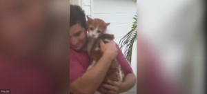 Man rescue cat from flooding