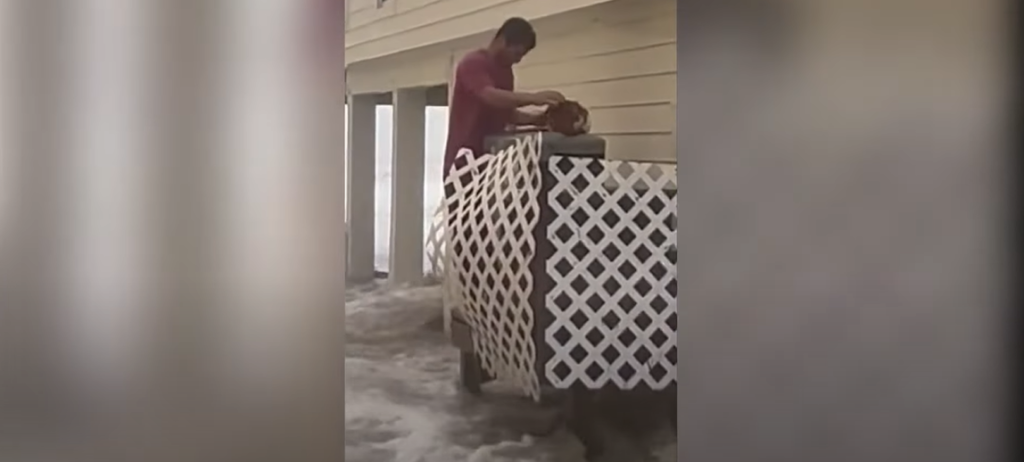 man rescue cat from flood 