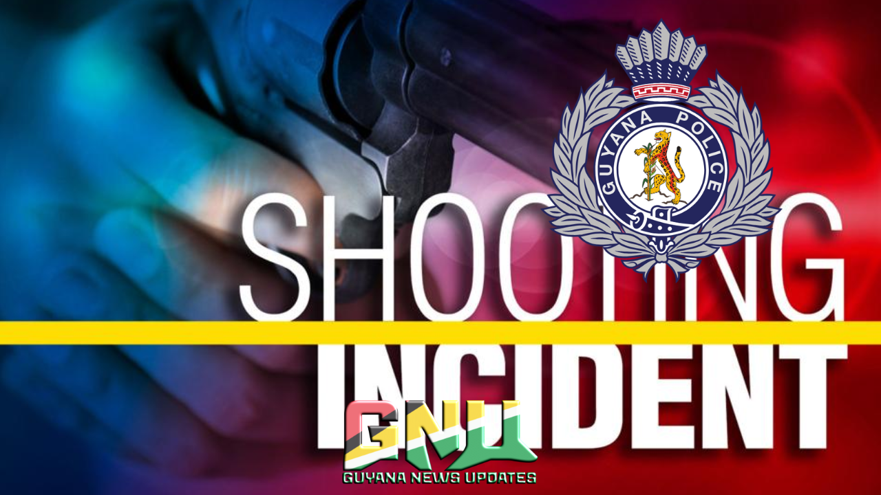 Police Investigate Alleged Shooting Incident Involving Five Year Old Child in Wismar Linden.