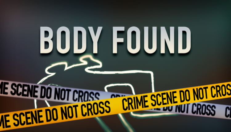 Body of Unidentified Man Discovered in Cummings Lodge Trench