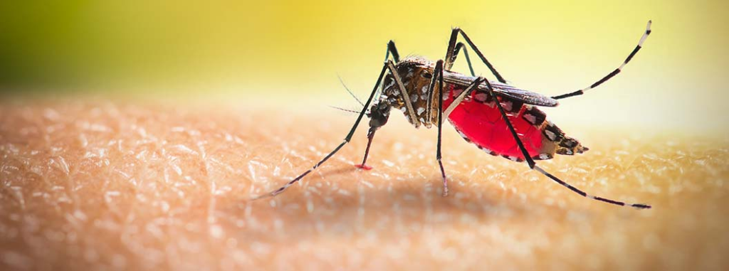 Health Minister Reports Dengue Related Deaths and Surge in Cases in Guyana