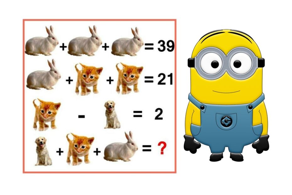 Difficult Minion Puzzle 5